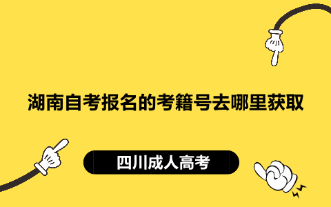 湖南自考報(bào)名