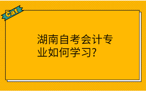 湖南自考會計學(xué)習(xí)方法