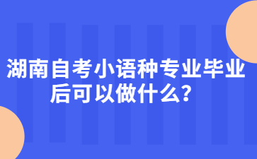 湖南自考小語種專業畢業后可以做什么?